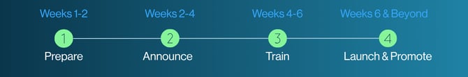 RISE Launch Timeline Week 1-